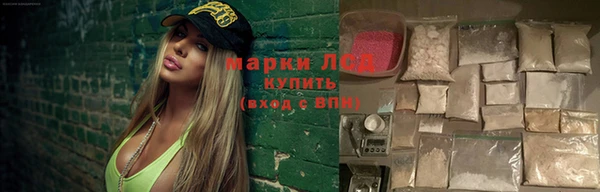 стафф Алзамай