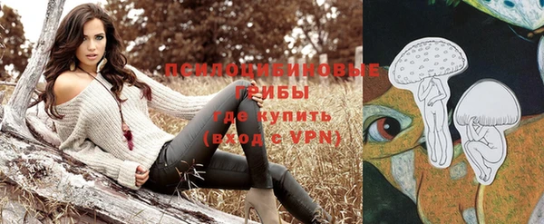 твердый Алексин