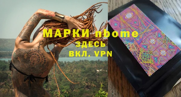 стафф Алзамай