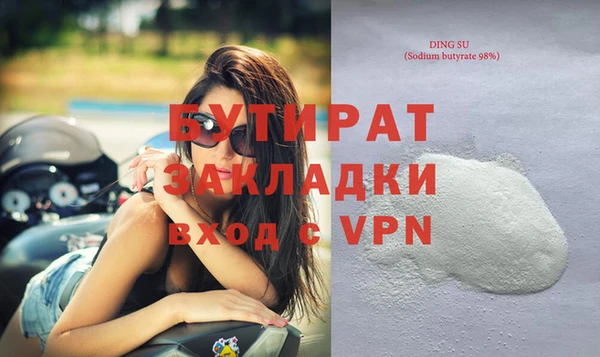 дживик Ельня
