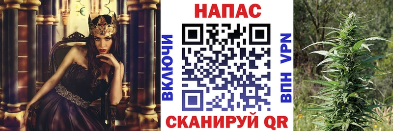 KRAKEN ONION  Сосенский  Бошки марихуана индика 